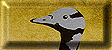 click here